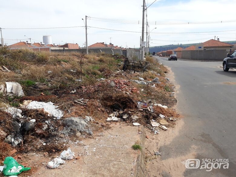 Parlamentar destacou que os moradores estão indignados com o abandono das áreas - Crédito: Divulgação