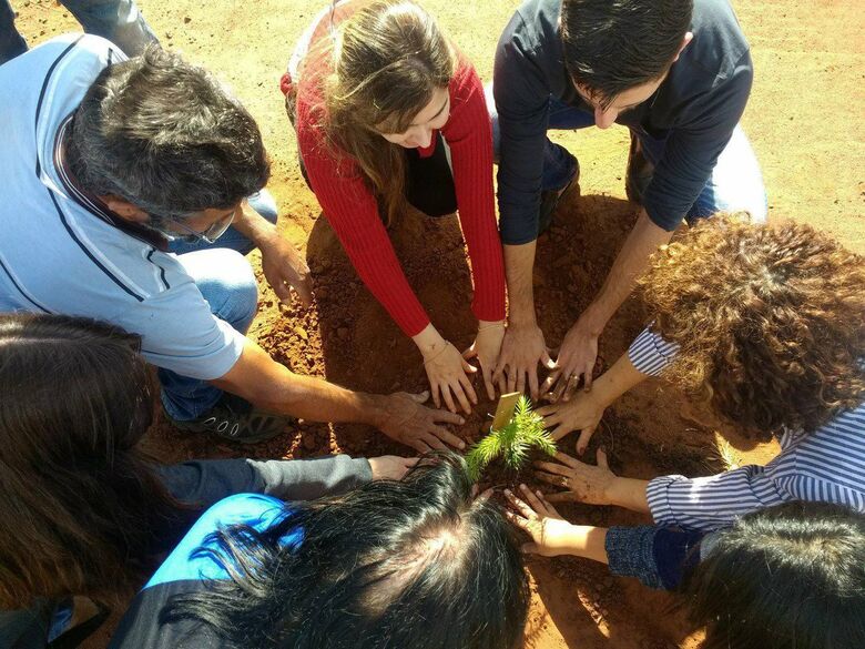 Voluntários plantam árvores em rotatória do Embaré: ecologicamente correto - Crédito: Marcos Escrivani