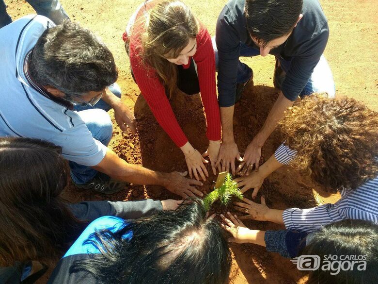 Voluntários plantam árvores em rotatória do Embaré: ecologicamente correto - Crédito: Marcos Escrivani