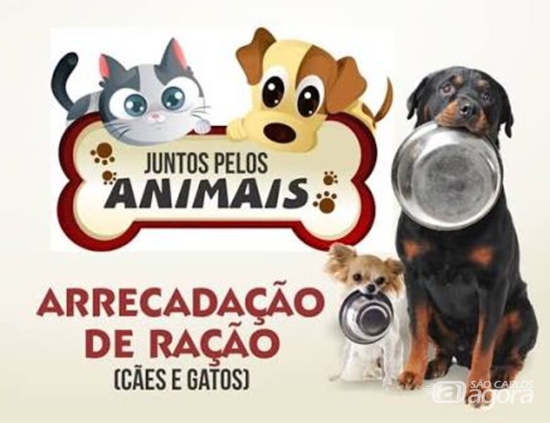 Campanha visa arrecadar alimentos para animais excluídos pela sociedade - 