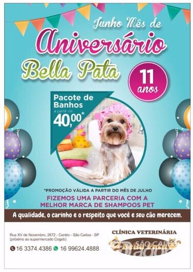 Com promoções especiais, Bella Pata completa 11 anos - 