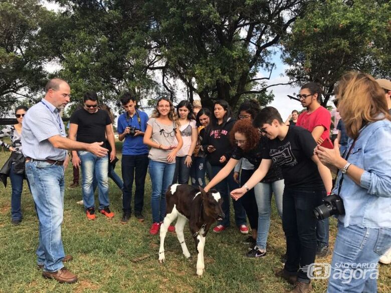 No campo, os estudantes compreenderam o funcionamento de um sistema de produção de leite e metodologia - Crédito: Gisele Rosso