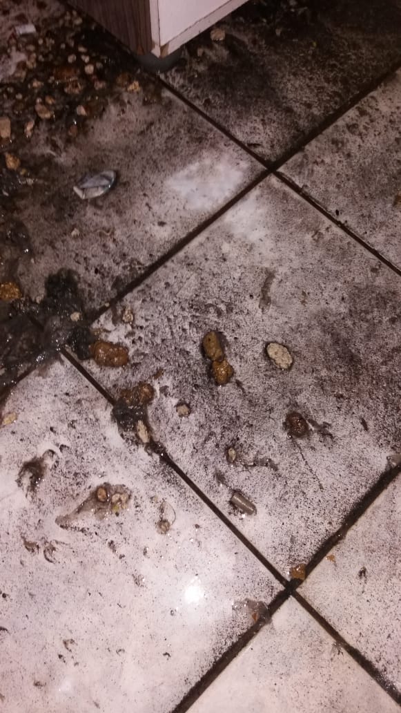 Após trabalho do Saae, fezes invadem casas no Boa Vista - Crédito: Divulgação