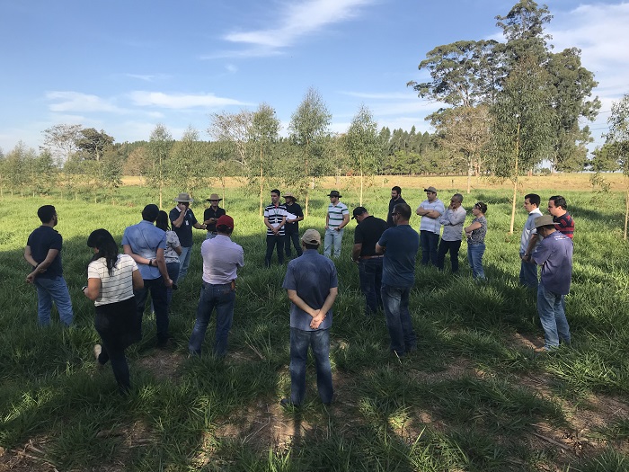 Participantes do curso estiveram no campo observando integração - Crédito: Ana Maio