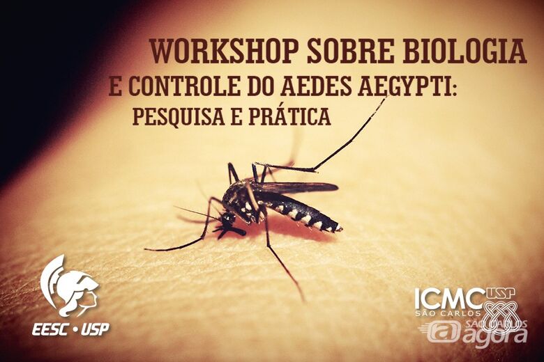 ICMC abre inscrições para workshop sobre controle do Aedes aegypti - 