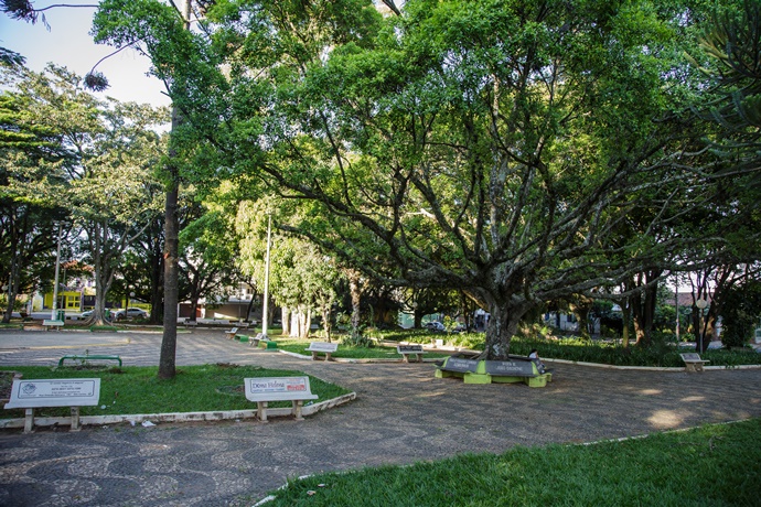 Domingo tem Festa Julina na Praça da XV - Crédito: Divulgação