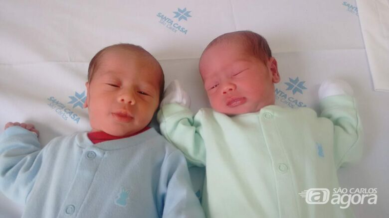 Gêmeos recém-nascidos precisam de doações - Crédito: Arquivo Pessoal