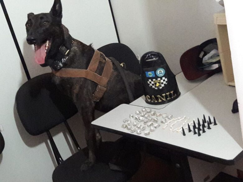 Guarda Municipal flagra jovem com entorpecentes no Romeu Tortorelli - Crédito: Maycon Maximino