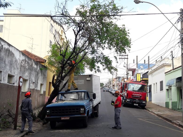 Caminhão fica ‘enroscado’ em galho de árvore no centro - Crédito: Maycon Maximino