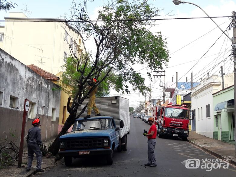 Caminhão fica ‘enroscado’ em galho de árvore no centro - Crédito: Maycon Maximino