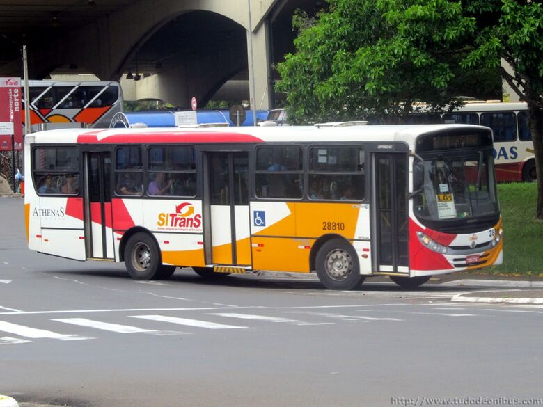 Athenas Paulista é condenada a devolver em dobro tarifas cobradas de idosos - Crédito: Tudo de ônibus.com.br