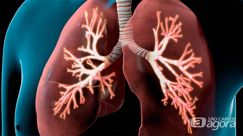 UFSCar oferece avaliação gratuita para pessoas com enfisema pulmonar e apneia do sono - Crédito: Divulgação