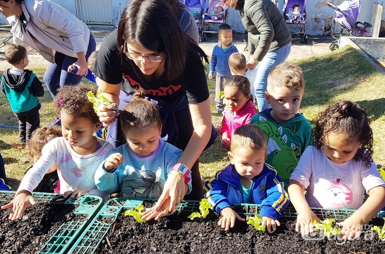 Projeto em Cemei ensinará crianças a cuidar de horta - Crédito: Divulgação