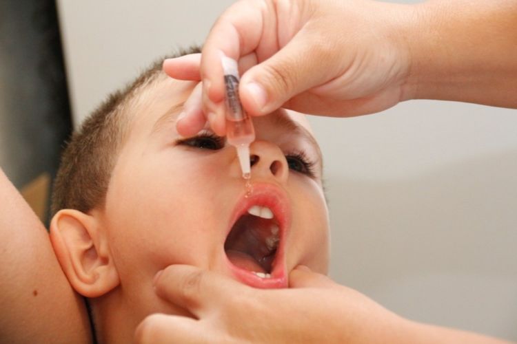 Postos de saúde em Ibaté estarão abertos para vacinação contra pólio e sarampo neste sábado (1º) - Crédito: Divulgação