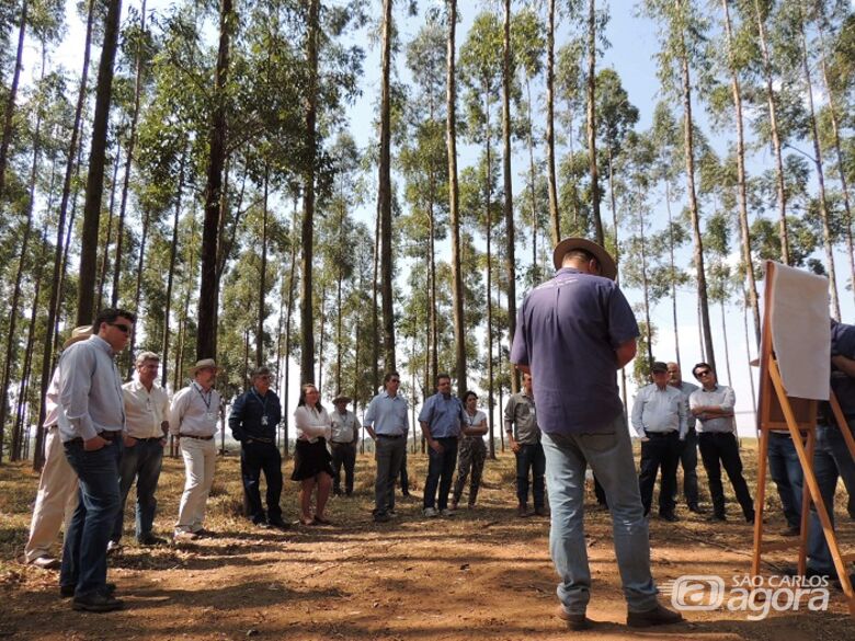 Visitantes conheceram o sistema integrado de produção com árvores - Crédito: Ana Maio