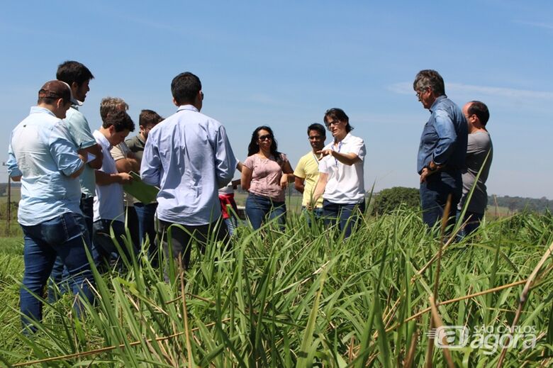 Curso avançado em manejo de pastagens é realizado em São Carlos - Crédito: Gisele Rosso