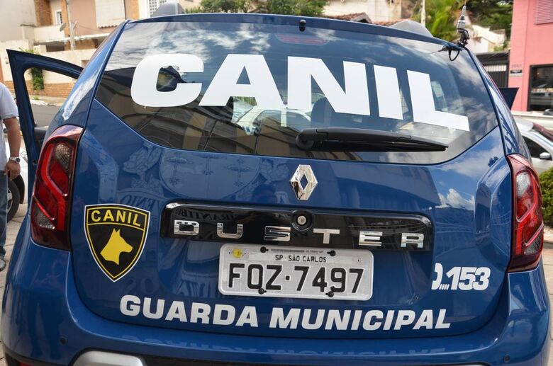 Latrocida se entrega na sede da Guarda Municipal - Crédito: Arquivo SCA