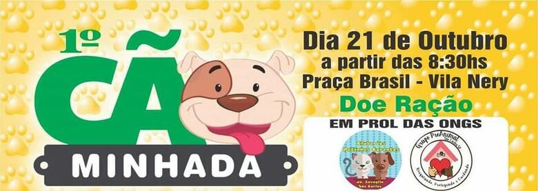 Cãominhada solidária irá ajudar ONGs que cuidam de animais abandonados -