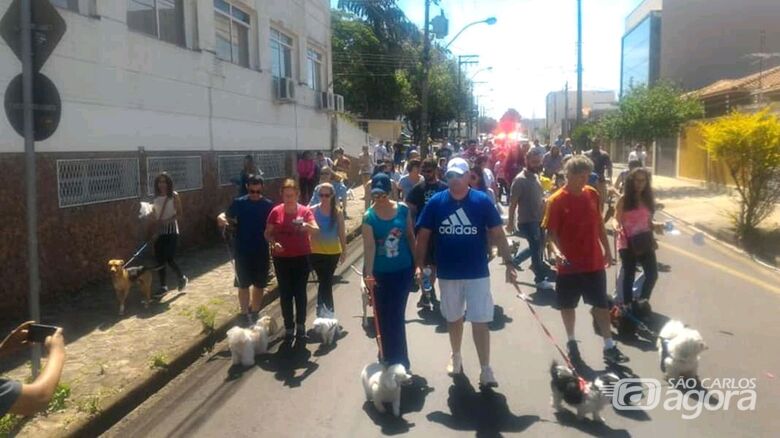 Cãominhada na Vila Nery arrecada 400 quilos de ração para cães - Crédito: Divulgação