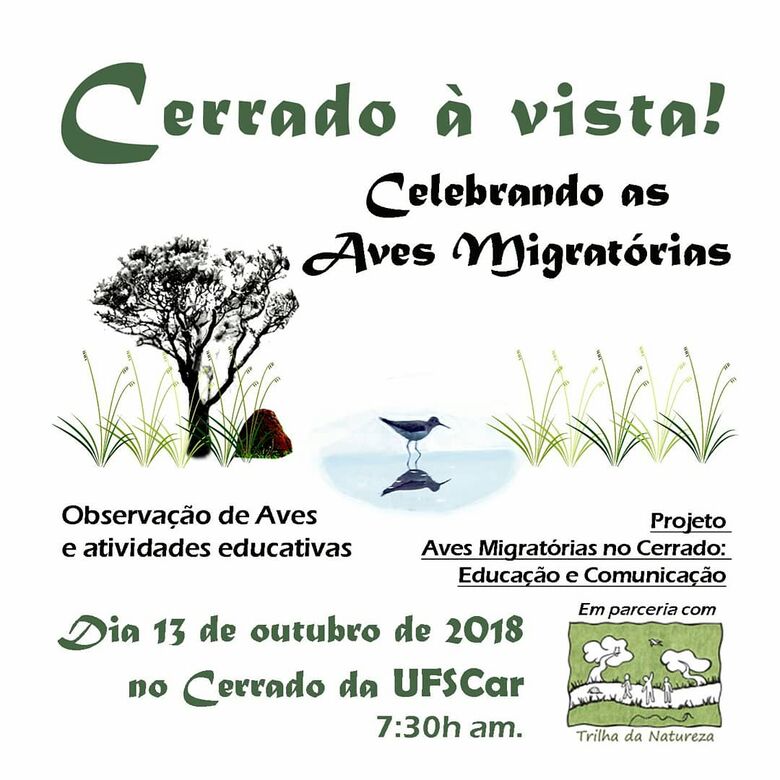 UFSCar promove observação de aves migratórias no Cerrado do Campus São Carlos -