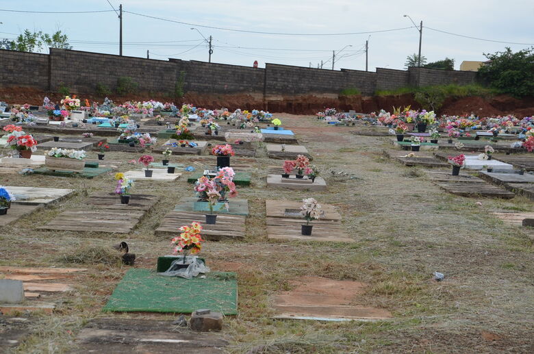Para evitar proliferação do Aedes aegypti, Prefeitura faz limpeza nos cemitérios - Crédito: Divulgação