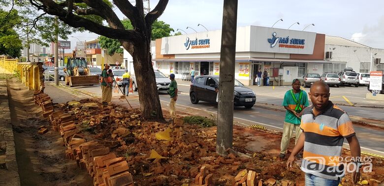 São Carlos decreta estado de emergência por causa das chuvas - Crédito: Divulgação