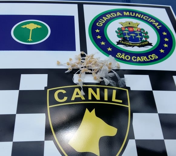 GM apreende adolescente com drogas no Romeu Santini - Crédito: Divulgação