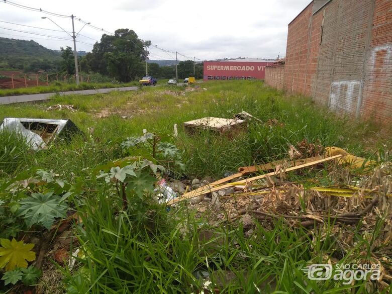 Terrenos abandonados no Zavaglia viram depósito de lixo e criadouro de animais peçonhentos - Crédito: Divulgação