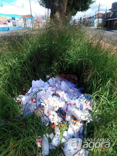 Mato e lixo tomam conta da Rua Larga - Crédito: Divulgação
