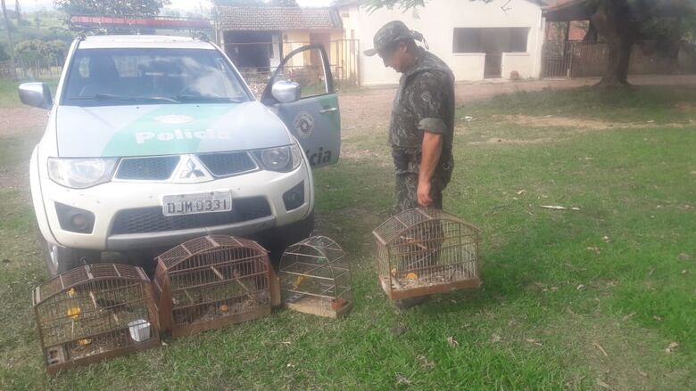 Polícia Ambiental resgata aves silvestres presas em cativeiro - Crédito: Divulgação