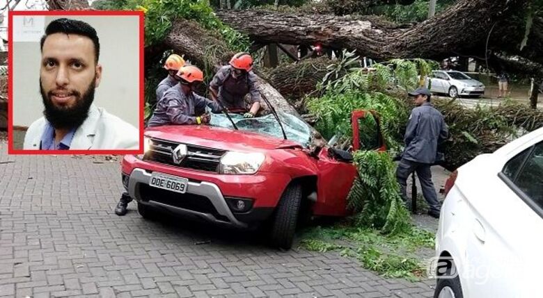 Morador de São Carlos morre após árvore cair sobre carro em Piracicaba - Crédito: Redes Sociais