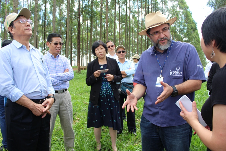Comitiva chinesa visita Embrapa em São Carlos para conhecer opções de forrageiras tropicais - Crédito: Gisele Rosso