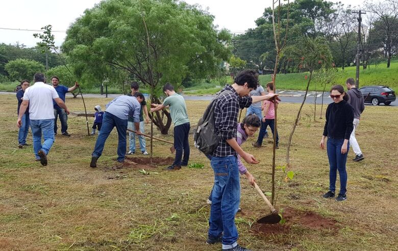 Árvores nativas são plantadas às margens do Monjolinho - Crédito: Divulgação