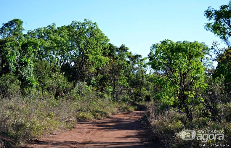 UFSCar promove reunião aberta que discute Protocolo do Cerrado - Crédito: Amanda Mello