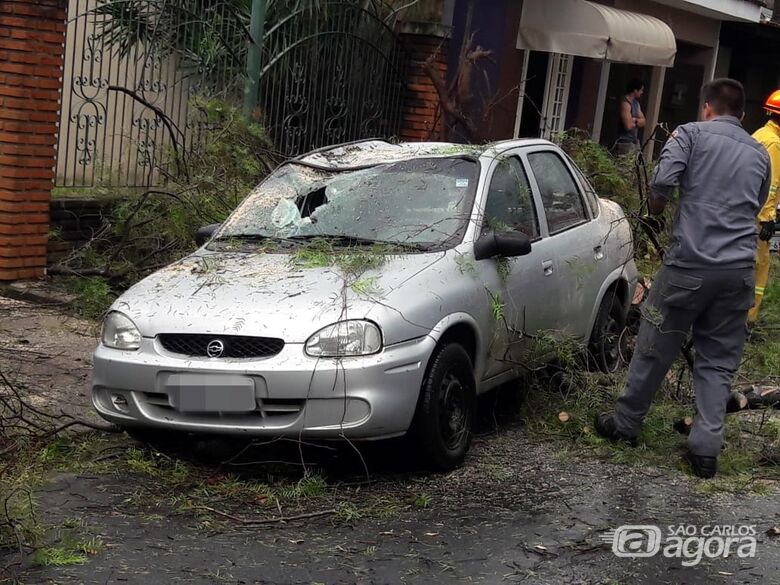 Árvore despenca em cima de carro na Vila Brasília - Crédito: Maycon Maximino