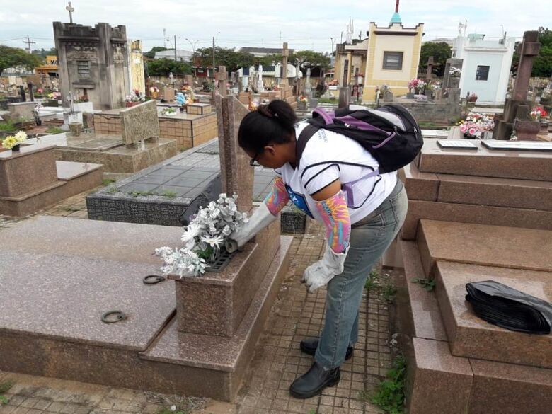 Ações integram a Semana Nacional de Mobilização Contra o Aedes Aegypti - Crédito: Divulgação