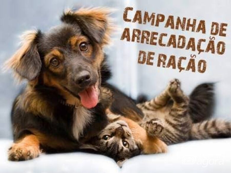 Campanha de Natal quer alimentar animais abandonados - Crédito: Divulgação