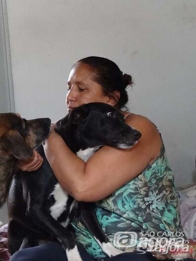 Mulher que cuida de 50 animais abandonados precisa de doação de ração - 