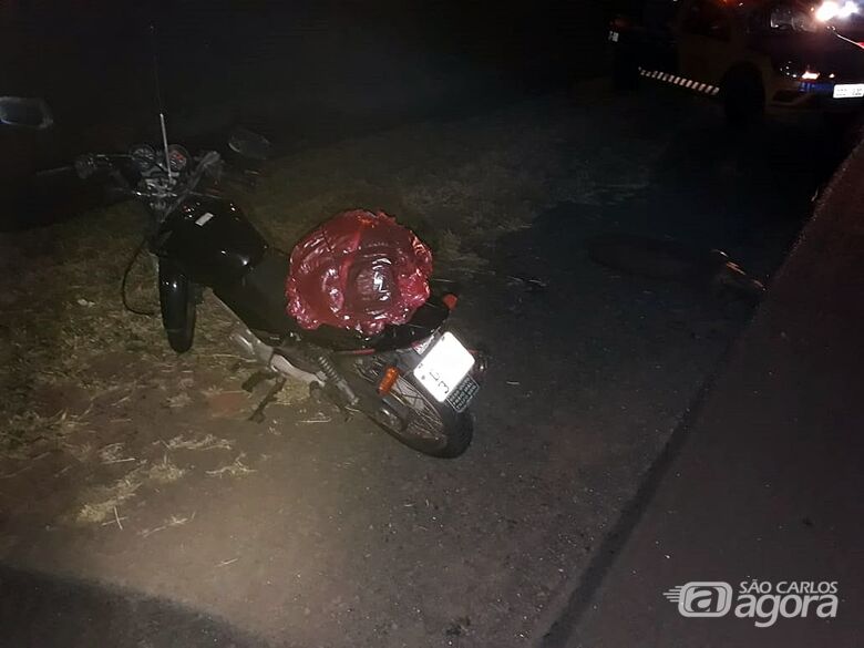 Capivara é atropelada por motociclista na região do Posto Castelo - Crédito: Colaborador/SCA