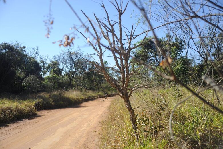 UFSCar realiza passeio ciclístico no Cerrado neste sábado, 8 de dezembro - Crédito: Divulgação