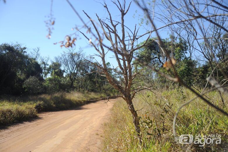 UFSCar realiza passeio ciclístico no Cerrado neste sábado, 8 de dezembro - Crédito: Divulgação
