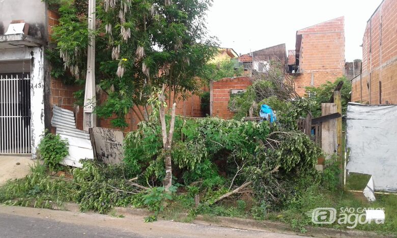 Casa abandonada serve como moradia para pessoas suspeitas e criadouro de animais peçonhentos - Crédito: Divulgação