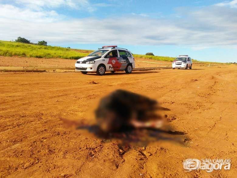 Polícia tenta identificar corpo encontrado no loteamento Arcoville - Crédito: Arquivo/SCA
