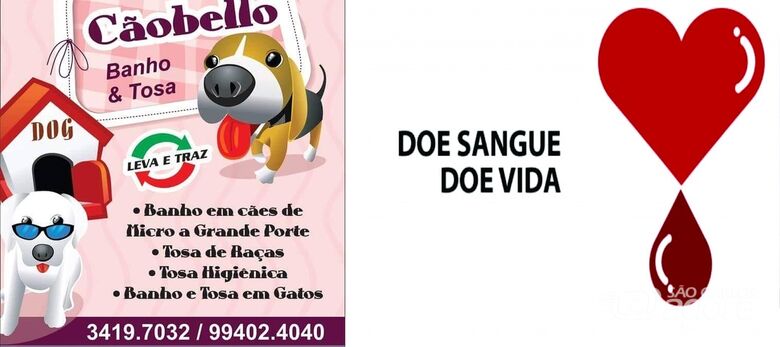 Petshop realiza campanha de incentivo a doação de sangue - Crédito: Divulgação