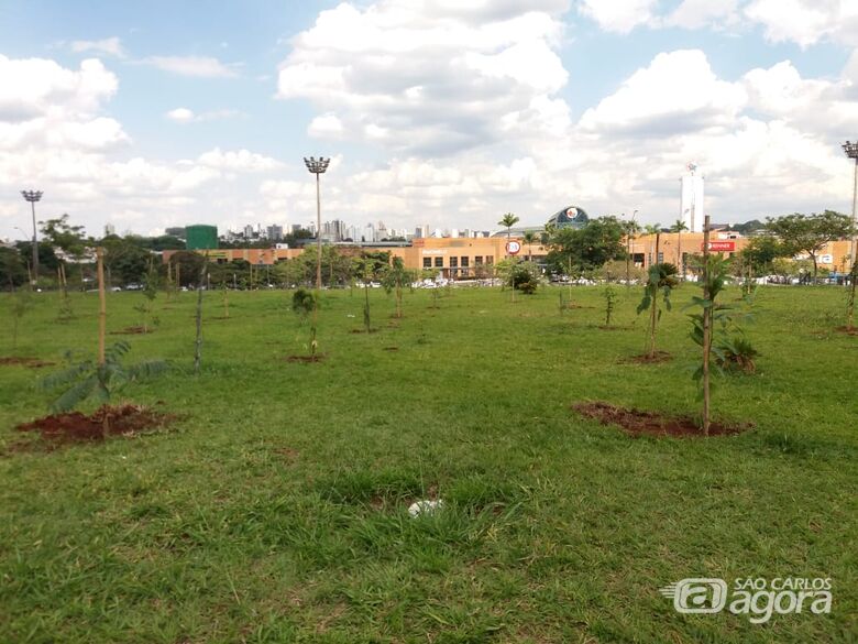 Praça dos Pais e dos Filhos será inaugurado no dia 12 em São Carlos - Crédito: Celso Rizzo/RCSC-Pinhal