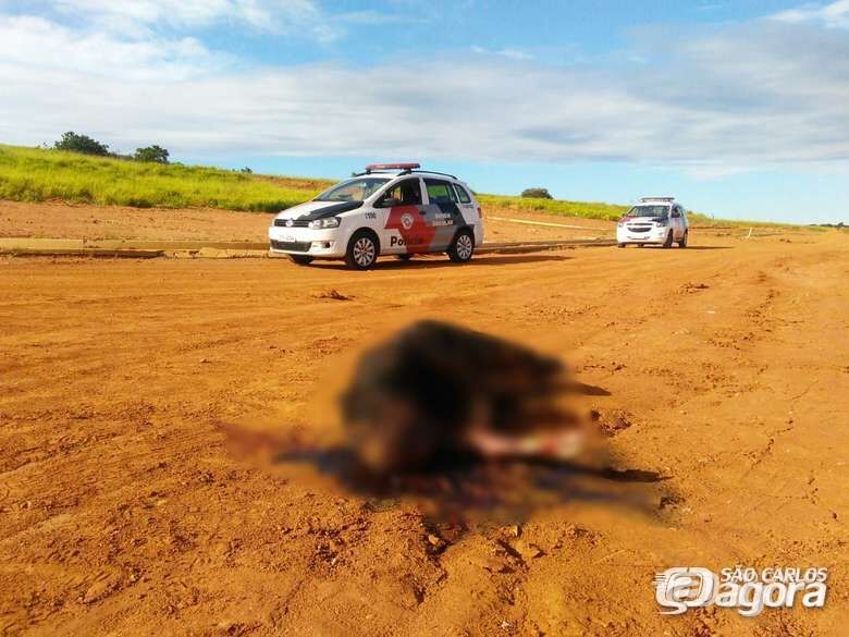 DIG identifica corpo encontrado em loteamento na região do Embaré - Crédito: Arquivo SCA