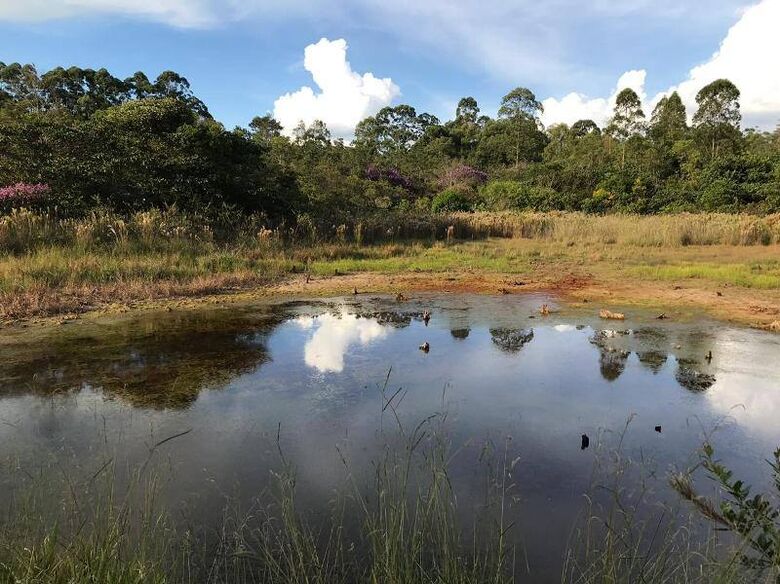 Visita ao Cerrado da UFSCar celebra Dia Mundial da Água - Crédito: Facebook/Trilha da Natureza