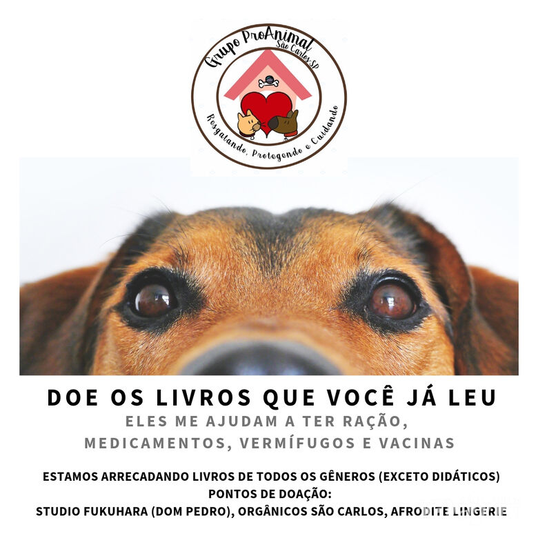 Grupo Pro-Animal arrecada livros e prepara feira solidária - Crédito: Divulgação