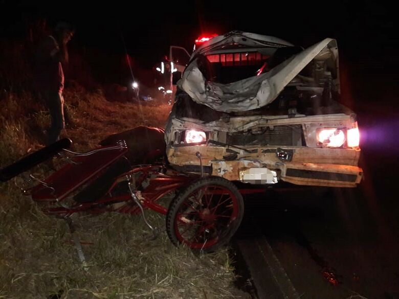 Grave acidente com charrete deixa quatro pessoas feridas na estrada do 29 - Crédito: São Carlos Agora