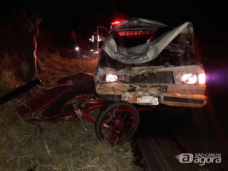 Grave acidente com charrete deixa quatro pessoas feridas na estrada do 29 - Crédito: São Carlos Agora